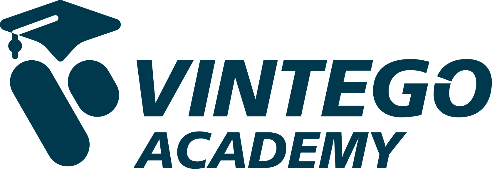 VINTEGO Academy Logo
